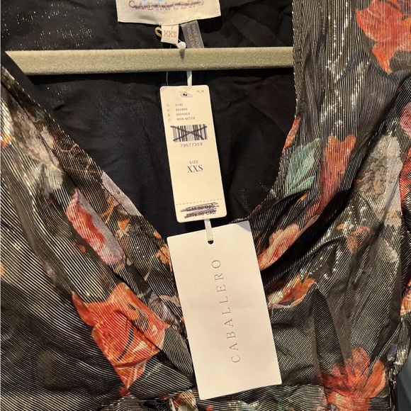 NWT Caballero Anthropologie Deep V-Neck Maxi Floral Dress Size XXS - Picture 6 of 6